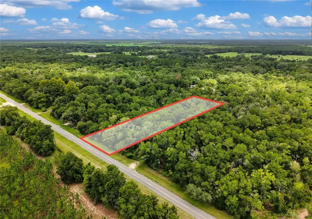Photo 3 of Land for sale at 000 NE 410th Avenue, Old Town, FL 32680 | MLS# TB8531229 | Listing updated on 2026-09-03