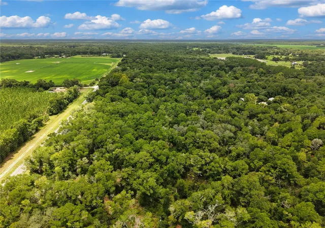 Photo 4 of Land for sale at 000 NE 410th Avenue, Old Town, FL 32680 | MLS# TB8531229 | Listing updated on 2026-09-03