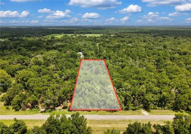 Photo 3 of Land for sale at 000 Ne 410th Avenue, Old Town, FL 32680 | MLS# TB8531229 | Listing updated on 2026-09-03