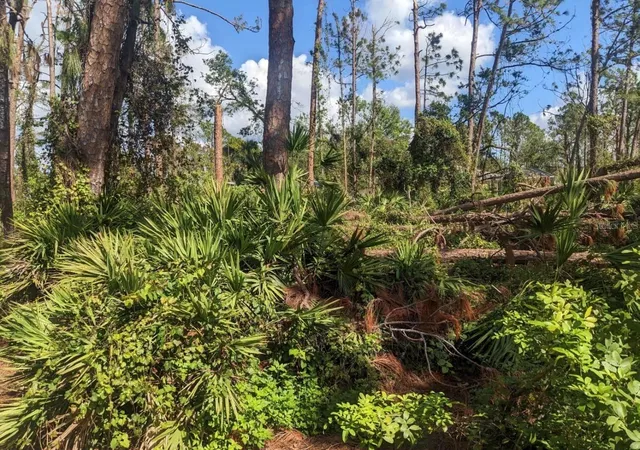 Photo 3 of Land for sale at 0 Apollo Ave, North Port, FL 34286 | MLS# O6427064 | Listing updated on 2026-07-22
