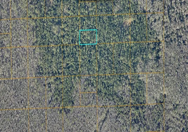2nd image of Unimproved, De Leon Springs, FL 32130 | MLS# FC320129