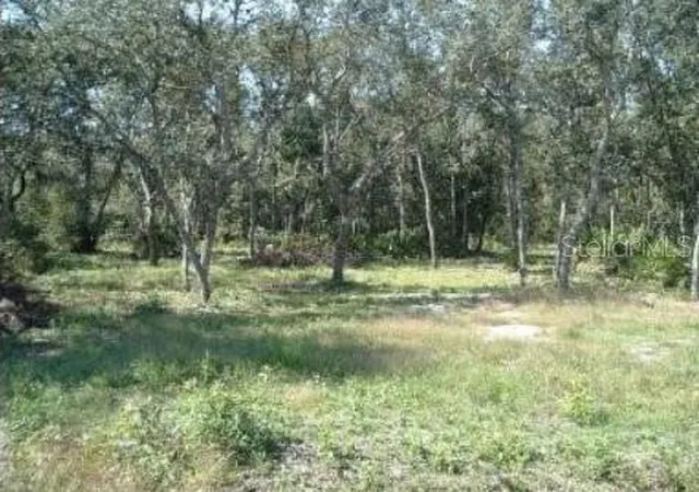 Photo 1 of Land for sale at 413 Ne 808th Street, Old Town, FL 32680 | MLS# O6427239 | Listing updated on 2026-07-23