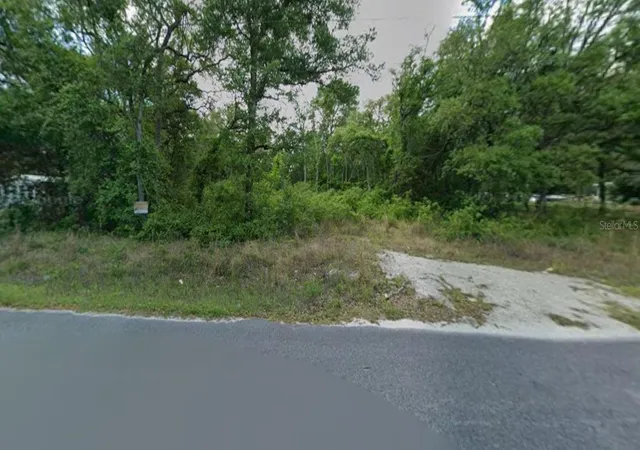 Photo 2 of Land for sale at 413 Ne 808th Street, Old Town, FL 32680 | MLS# O6427239 | Listing updated on 2026-07-23