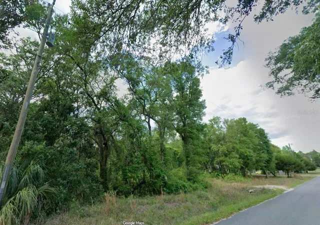 Photo 3 of Land for sale at 413 Ne 808th Street, Old Town, FL 32680 | MLS# O6427239 | Listing updated on 2026-07-23