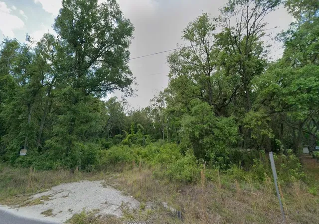 Photo 3 of Land for sale at 413 NE 808th Street, Old Town, FL 32680 | MLS# O6427239 | Listing updated on 2026-07-23