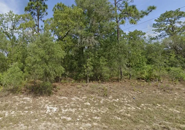 Photo 2 of Land for sale at 6791 Darlington Dr, Dunnellon, FL 34434 | MLS# OM728984 | Listing updated on 2026-08-20