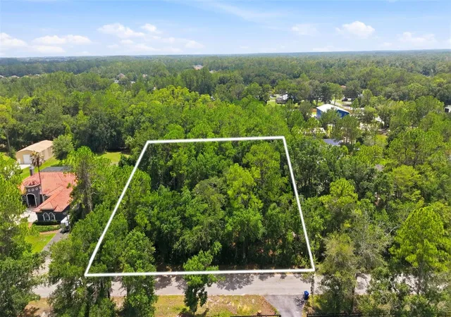 Land for sale at Raven Brk Rd, Wesley Chapel, FL 33544 | MLS# TB8531702