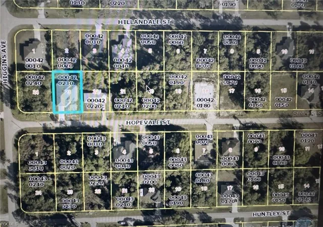 27th image of 3852 Hopevale St, Fort Myers, FL 33905 | MLS# A4700775