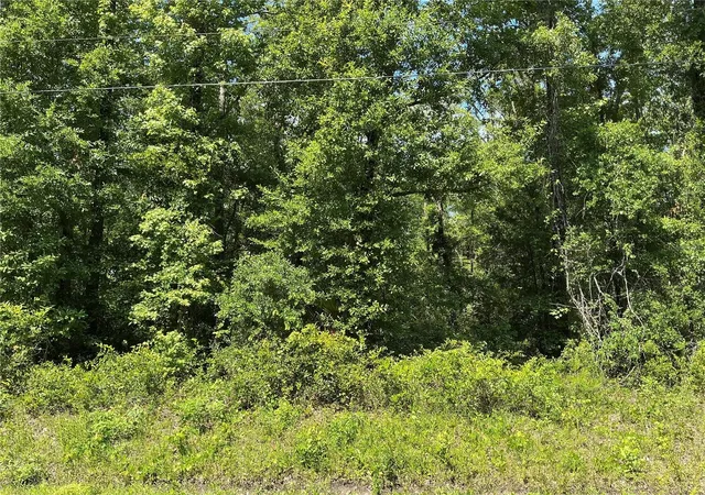 Photo 1 of Land for sale at 10135 Mcmahon Ave, Hastings, FL 32145 | MLS# OM729021 | Listing updated on 2026-09-04