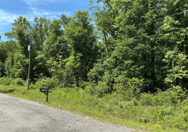 Photo 3 of Land for sale at 10135 Mcmahon Ave, Hastings, FL 32145 | MLS# OM729021 | Listing updated on 2026-09-04