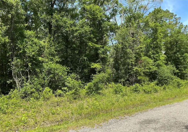 Photo 3 of Land for sale at 10135 Mcmahon Ave, Hastings, FL 32145 | MLS# OM729021 | Listing updated on 2026-09-04