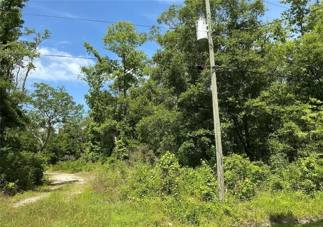 Photo 4 of Land for sale at 10135 Mcmahon Ave, Hastings, FL 32145 | MLS# OM729021 | Listing updated on 2026-09-04