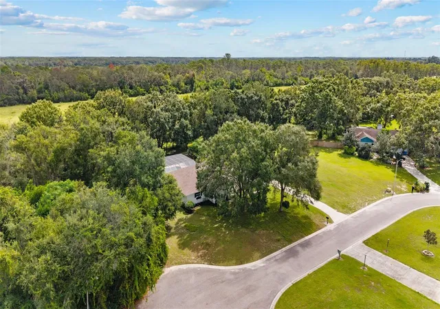 25th image of 10204 Tranquil Ln, Odessa, FL 33556 | MLS# TB8531905