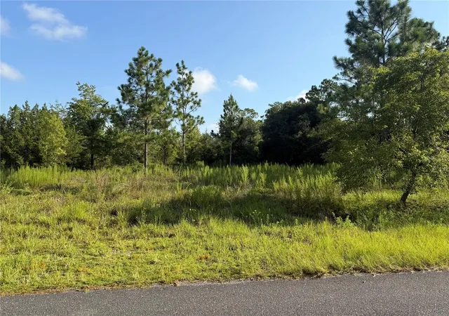 1st image of 35th St, Morriston, FL 32668 | MLS# OM729026