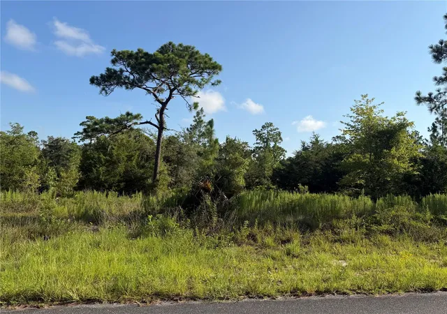 2nd image of 35th St, Morriston, FL 32668 | MLS# OM729026
