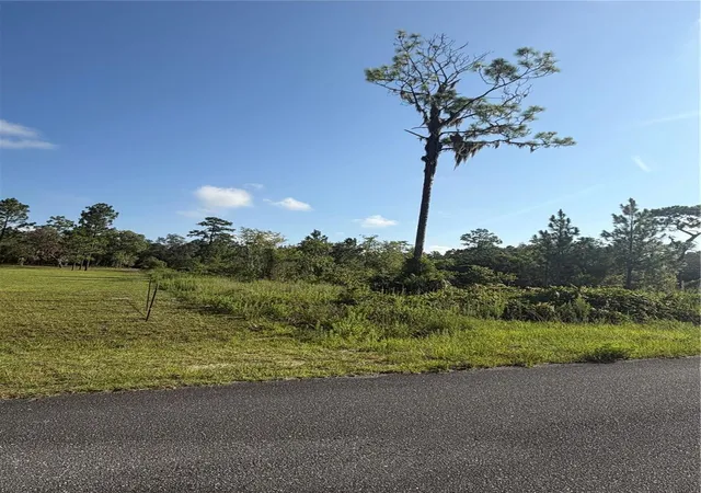 4th image of 35Th St, Morriston, FL 32668 | MLS# OM729026