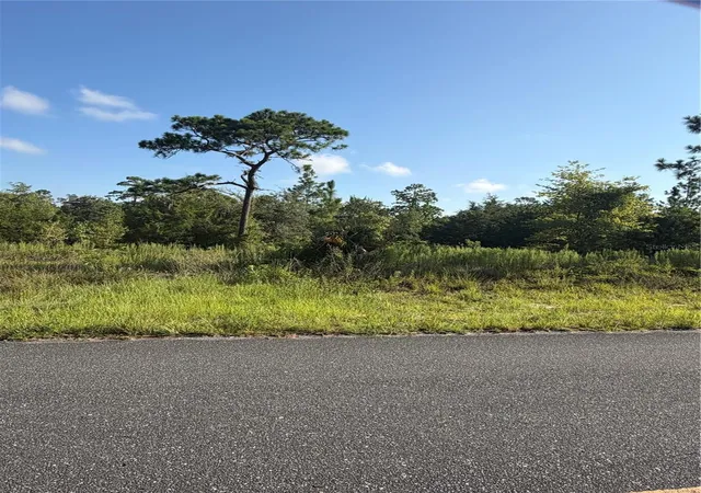 5th image of 35th St, Morriston, FL 32668 | MLS# OM729026