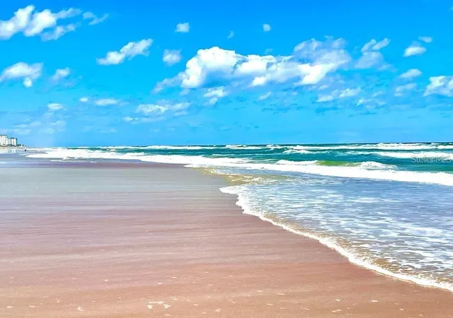58th image of 306 Hang Loose Wy, Daytona Beach, FL 32124 | MLS# S5154256
