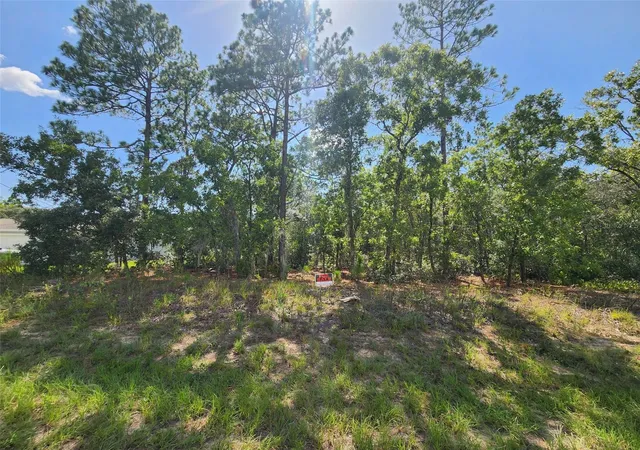 Photo 2 of Land for sale at 9712 N Lovell Dr, Dunnellon, FL 34433 | MLS# OM729030 | Listing updated on 2026-07-24