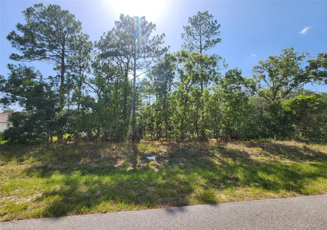 Photo 3 of Land for sale at 9712 N Lovell Dr, Dunnellon, FL 34433 | MLS# OM729030 | Listing updated on 2026-07-24