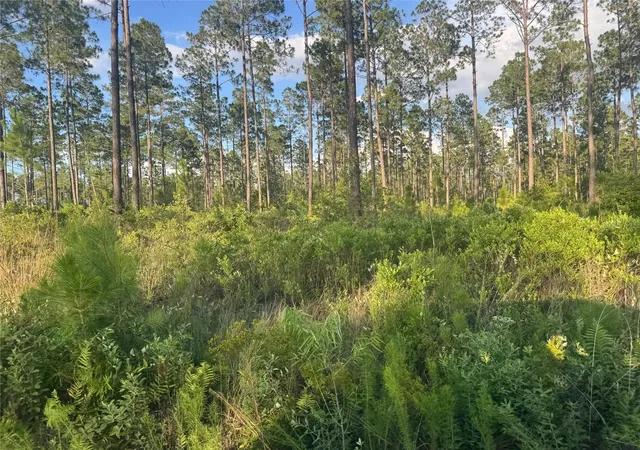 Photo 1 of Land for sale at Tbd Nw Cr 235, Lake Butler, FL 32054 | MLS# GC542169 | Listing updated on 2026-07-23