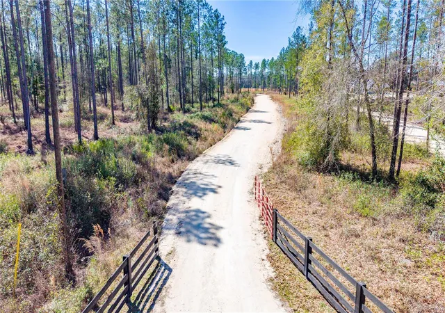 Photo 2 of Land for sale at Tbd NW Cr 235, Lake Butler, FL 32054 | MLS# GC542169 | Listing updated on 2026-07-23