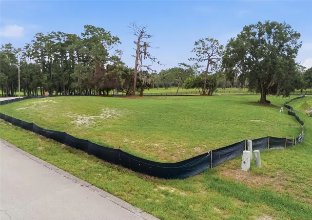 Photo 4 of Land for sale at 520 Austin Dr, Tarpon Springs, FL 34688 | MLS# TB8531998 | Listing updated on 2026-07-24