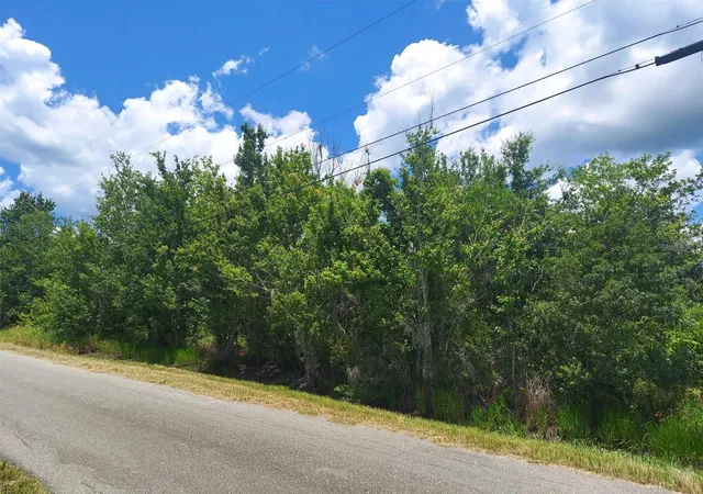 Land for sale at 5410 Bob Smith Ave, PLANT CITY, FL 33565 | MLS# TB8532026