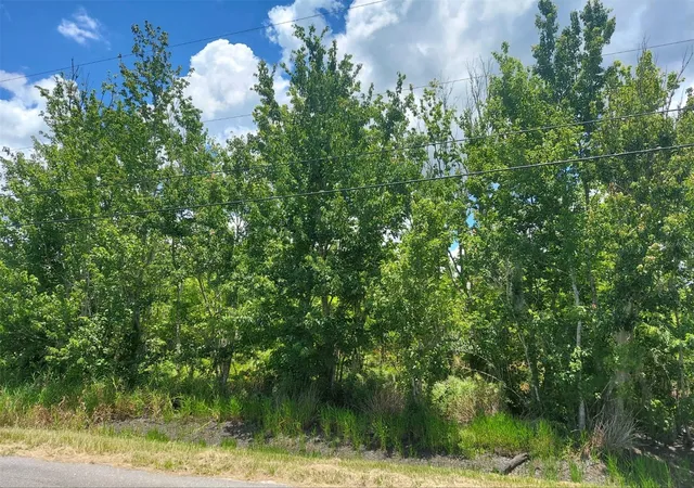 Photo 4 of Land for sale at 5410 Bob Smith Ave, Plant City, FL 33565 | MLS# TB8532026 | Listing updated on 2026-09-25