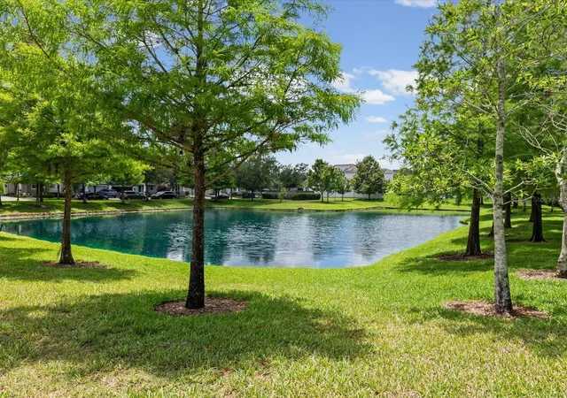 61st image of 7117 Park Tree Dr, Tampa, FL 33625 | MLS# TB8532095