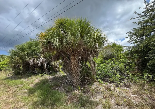 Photo 3 of Land for sale at 13224 Kitchener Ave, Port Charlotte, FL 33981 | MLS# TB8532106 | Listing updated on 2026-08-27