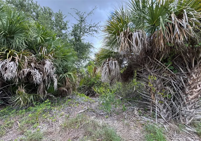 Photo 4 of Land for sale at 13224 Kitchener Ave, Port Charlotte, FL 33981 | MLS# TB8532106 | Listing updated on 2026-08-27