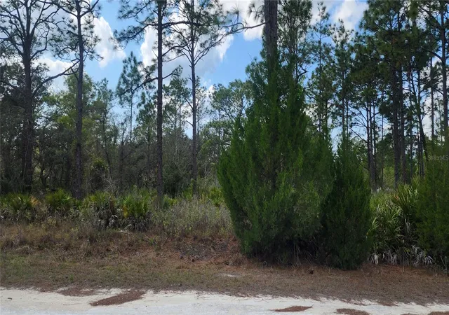Photo 1 of Land for sale at 18119 Parrot Rd, Weeki Wachee, FL 34614 | MLS# TB8532116 | Listing updated on 2026-09-02