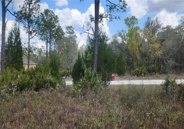 Photo 2 of Land for sale at 18119 Parrot Rd, Weeki Wachee, FL 34614 | MLS# TB8532116 | Listing updated on 2026-09-02