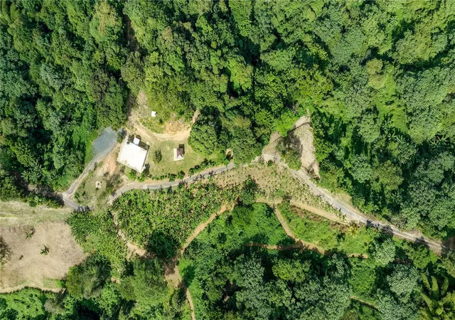Photo 11 of Land for sale at Carr 140 Km 179, Utuado, PR 00641 | MLS# PR9122951 | Listing updated on 2026-07-25