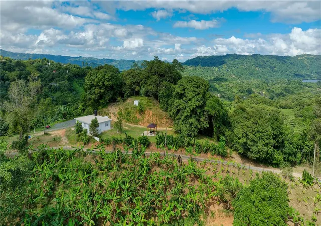 Photo 4 of Land for sale at Carr 140 Km 179, Utuado, PR 00641 | MLS# PR9122951 | Listing updated on 2026-07-25