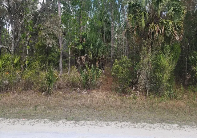Photo 1 of Land for sale at 18164 Retriever Rd, Brooksville, FL 34614 | MLS# TB8532134 | Listing updated on 2026-07-24