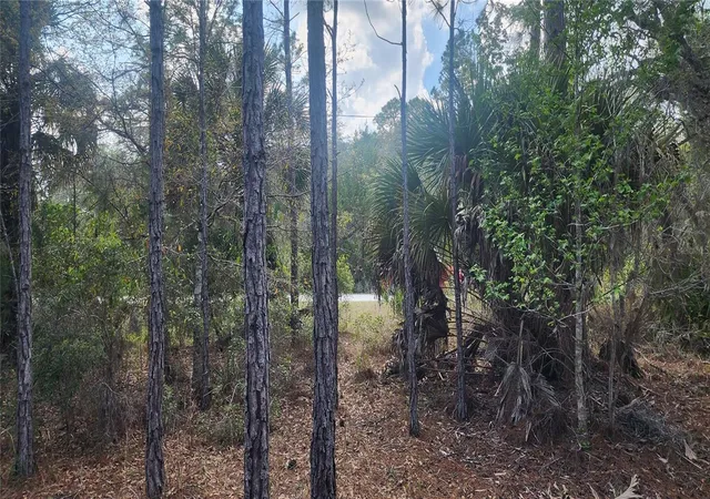Photo 2 of Land for sale at 18164 Retriever Rd, Brooksville, FL 34614 | MLS# TB8532134 | Listing updated on 2026-07-24