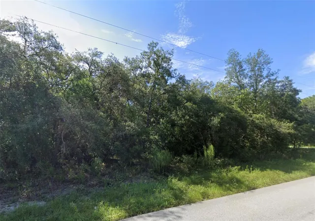 Photo 3 of Land for sale at 0 Akins Dr, Spring Hill, FL 34610 | MLS# W7887929 | Listing updated on 2026-09-25