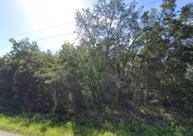 Photo 4 of Land for sale at 0 Akins Dr, Spring Hill, FL 34610 | MLS# W7887929 | Listing updated on 2026-09-25