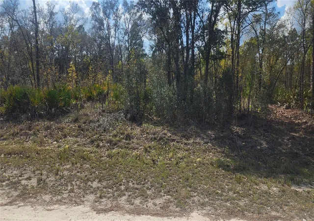 1st image of 18043 Ramsey Rd, Weeki Wachee, FL 34614 | MLS# TB8532170