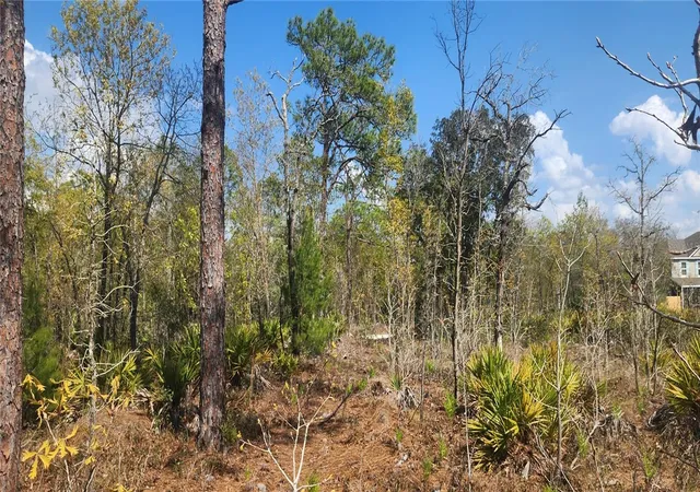 2nd image of 18043 Ramsey Rd, Weeki Wachee, FL 34614 | MLS# TB8532170
