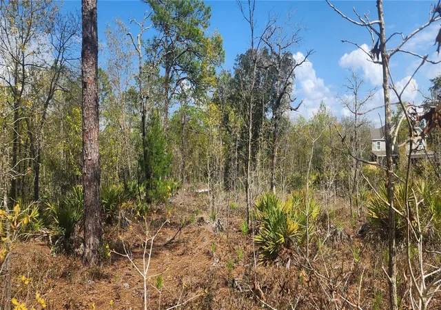 Photo 3 of Land for sale at 18043 Ramsey Rd, Weeki Wachee, FL 34614 | MLS# TB8532170 | Listing updated on 2026-07-24