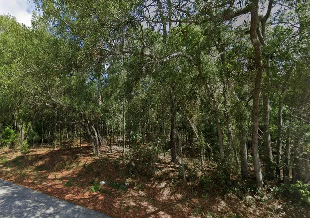 Photo 3 of Land for sale at 0 Todd Trl, Spring Hill, FL 34610 | MLS# W7887933 | Listing updated on 2026-08-03