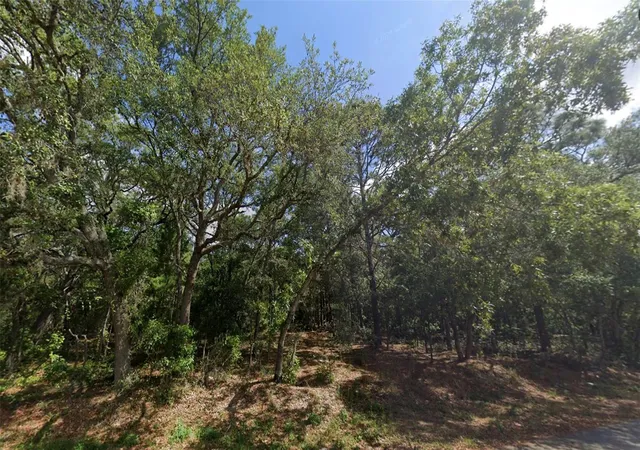 Photo 3 of Land for sale at 0 Todd Trl, Spring Hill, FL 34610 | MLS# W7887933 | Listing updated on 2026-09-25