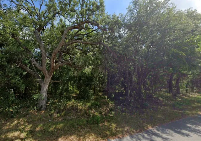 Photo 4 of Land for sale at 0 Todd Trl, Spring Hill, FL 34610 | MLS# W7887933 | Listing updated on 2026-09-25
