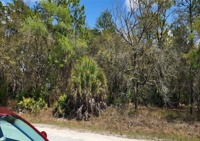 Photo 2 of Land for sale at 18099 Parakeet Rd, Brooksville, FL 34614 | MLS# TB8532190 | Listing updated on 2026-07-24