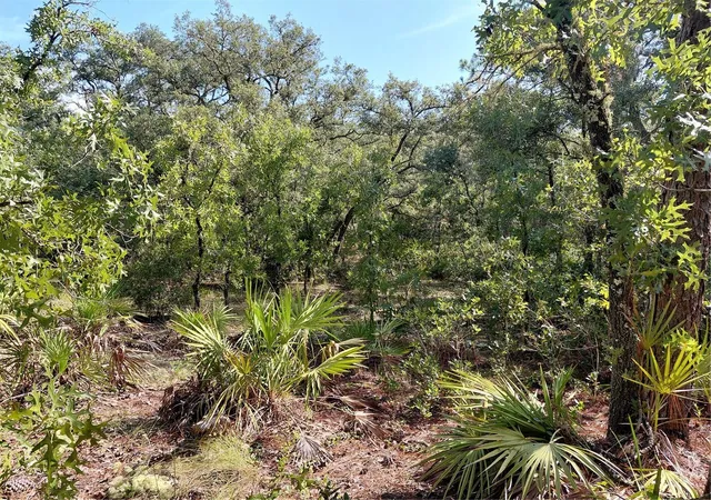 Photo 2 of Land for sale at Wheystone Dr, Webster, FL 33597 | MLS# G5115471 | Listing updated on 2026-09-28