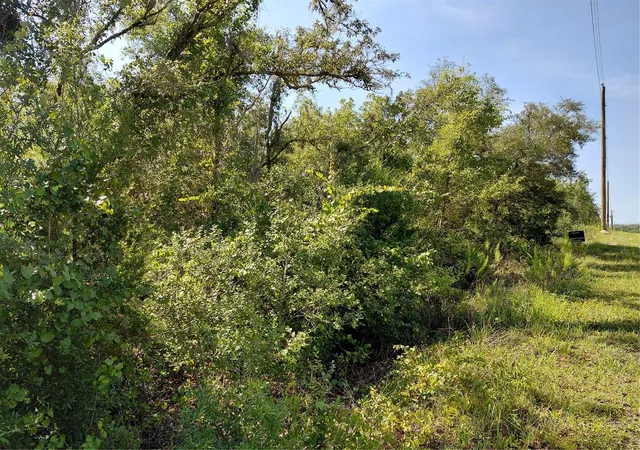 Photo 3 of Land for sale at Wheystone Dr, Webster, FL 33597 | MLS# G5115471 | Listing updated on 2026-09-28