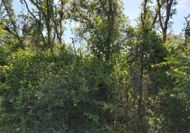 Photo 3 of Land for sale at Wheystone Dr, Webster, FL 33597 | MLS# G5115471 | Listing updated on 2026-09-28